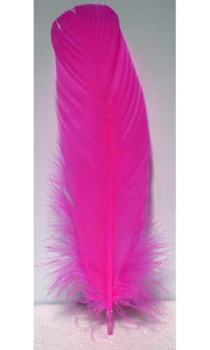 Writing Feathers Quill Pen: Pink - Spell Ink, Writing Feather Quills ...